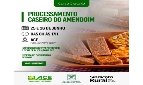 Processamento Caseiro de Amendoim